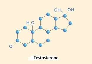 Главный мужской гормон. Тестостерон.jpg